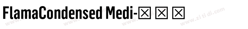 FlamaCondensed Medi字体转换 FlamaCondensed Medi字体转换